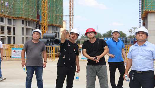 开云手机在线入口官网董事会巡检圆满完成