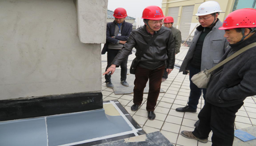 春雨细润物  品质再提升